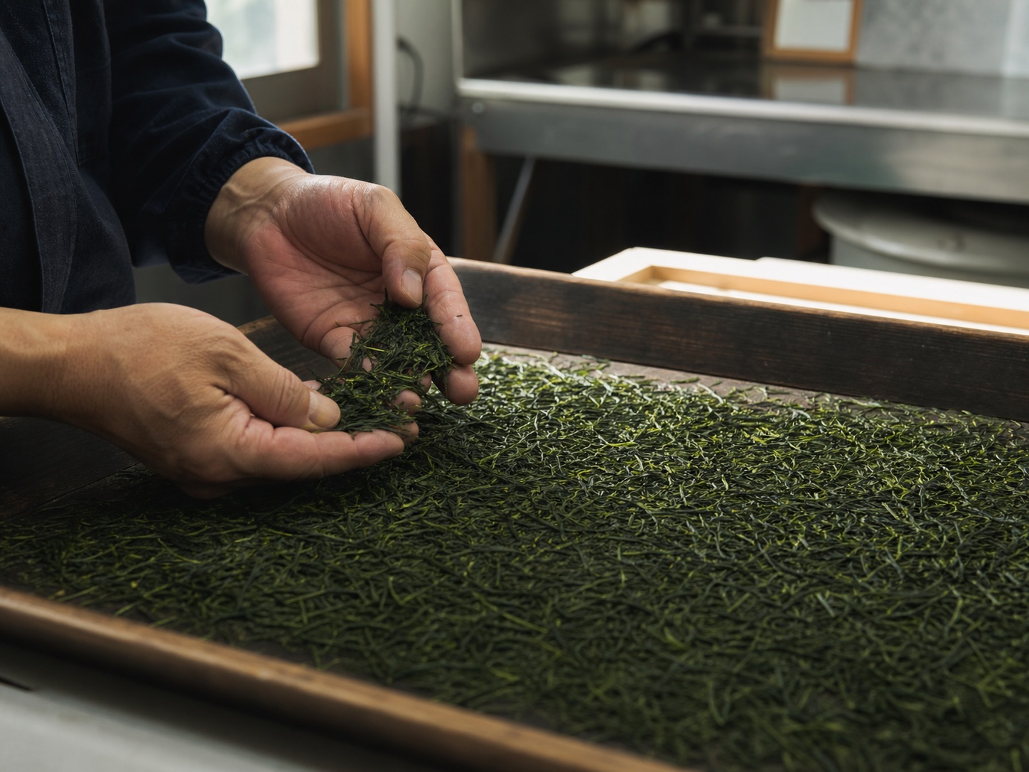 Hands inspecting processed Japanese tea leaves on a sorting tray